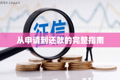 阳春从申请到还款的完整指南