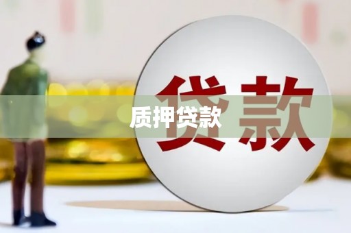 九台质押贷款