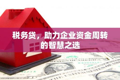 玉树税务贷，助力企业资金周转的智慧之选