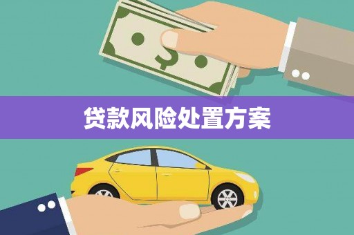 镇康贷款风险处置方案