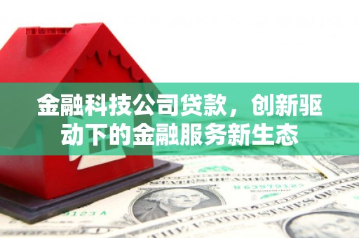 万峦金融科技公司贷款，创新驱动下的金融服务新生态