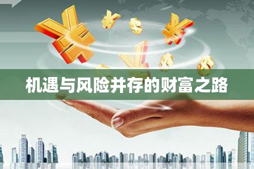 将军机遇与风险并存的财富之路