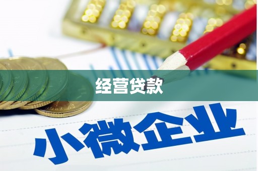 长岭经营贷款