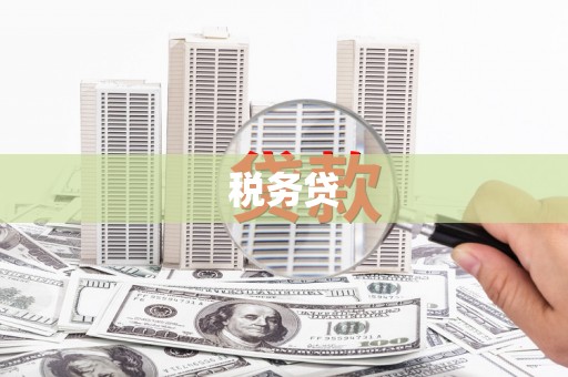 东营税务贷