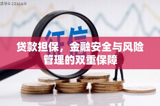 石龙贷款担保，金融安全与风险管理的双重保障