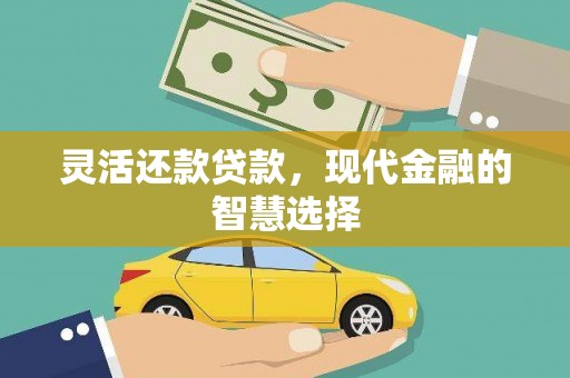 卑南灵活还款贷款，现代金融的智慧选择