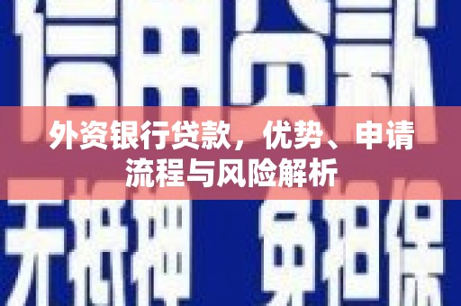 隆昌外资银行贷款，优势、申请流程与风险解析