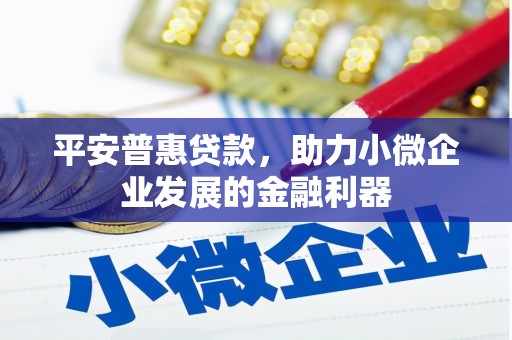 万全平安普惠贷款，助力小微企业发展的金融利器