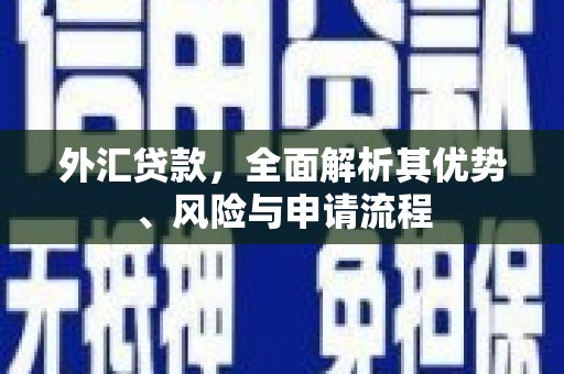 营口外汇贷款，全面解析其优势、风险与申请流程