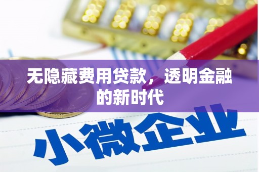 荥经无隐藏费用贷款，透明金融的新时代