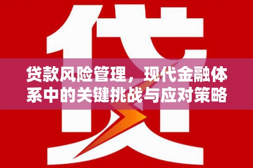 六合贷款风险管理，现代金融体系中的关键挑战与应对策略