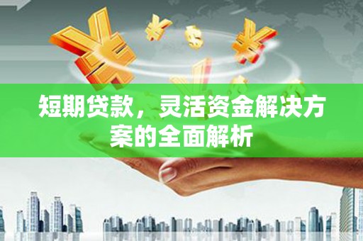 镜湖短期贷款，灵活资金解决方案的全面解析