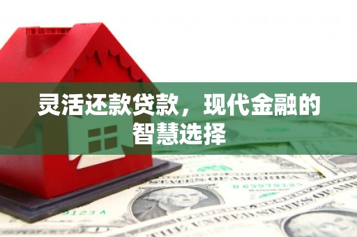 鹿泉灵活还款贷款，现代金融的智慧选择