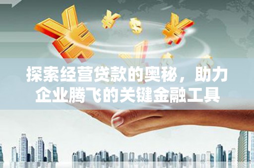 泰顺探索经营贷款的奥秘，助力企业腾飞的关键金融工具