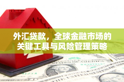 安仁外汇贷款，全球金融市场的关键工具与风险管理策略