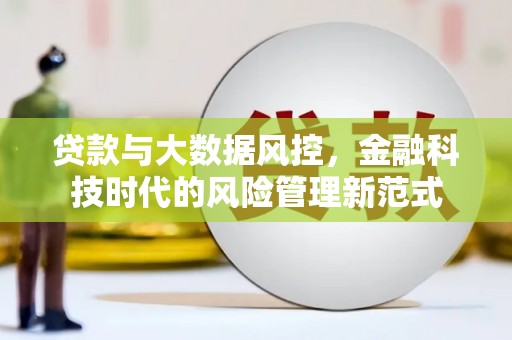 平川贷款与大数据风控，金融科技时代的风险管理新范式