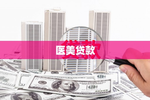 岭东医美贷款