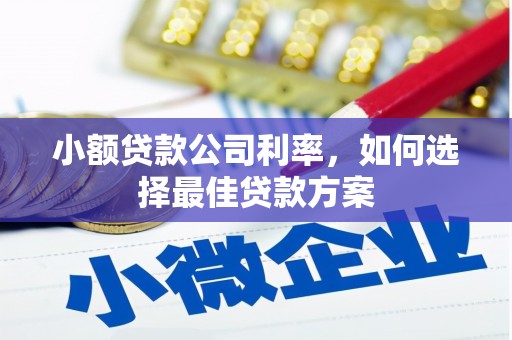 漯河小额贷款公司利率，如何选择最佳贷款方案