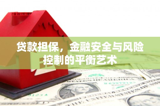 四川贷款担保，金融安全与风险控制的平衡艺术