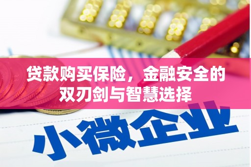 定海贷款购买保险，金融安全的双刃剑与智慧选择