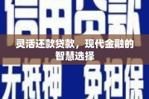 浑源灵活还款贷款，现代金融的智慧选择