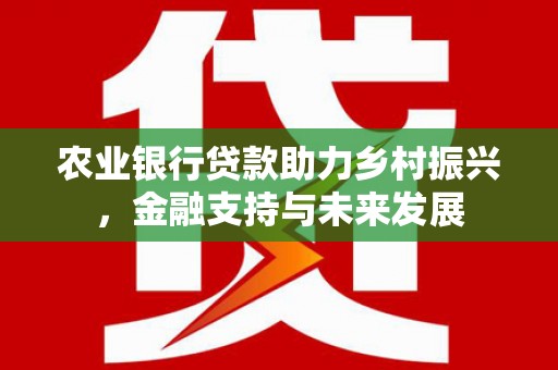 西市农业银行贷款助力乡村振兴，金融支持与未来发展