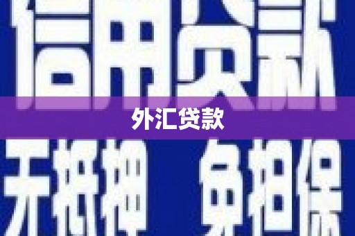 依兰外汇贷款