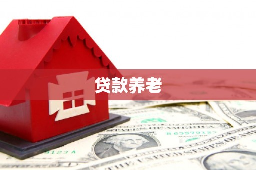 漯河贷款养老
