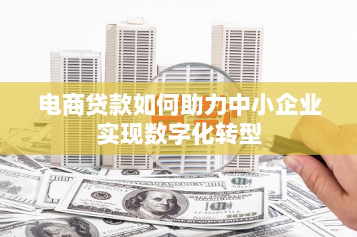 维西电商贷款如何助力中小企业实现数字化转型