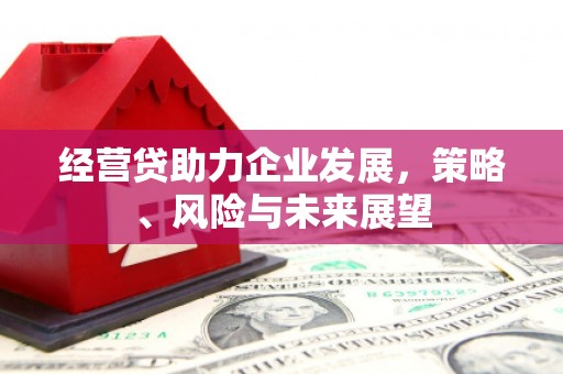 衡东经营贷助力企业发展，策略、风险与未来展望