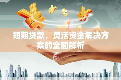 贵定短期贷款，灵活资金解决方案的全面解析