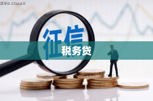 禅城税务贷