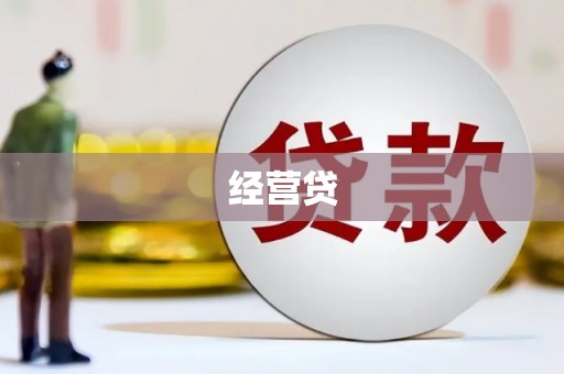 施甸经营贷