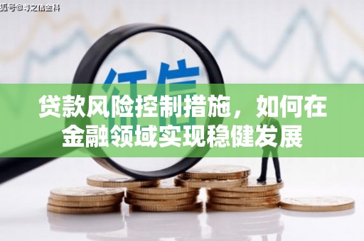 邵东贷款风险控制措施，如何在金融领域实现稳健发展