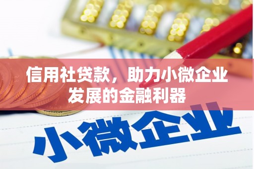 椒江信用社贷款，助力小微企业发展的金融利器