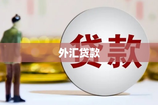 黄州外汇贷款
