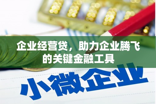 贞丰企业经营贷，助力企业腾飞的关键金融工具