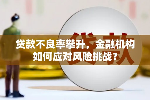 永宁贷款不良率攀升，金融机构如何应对风险挑战？