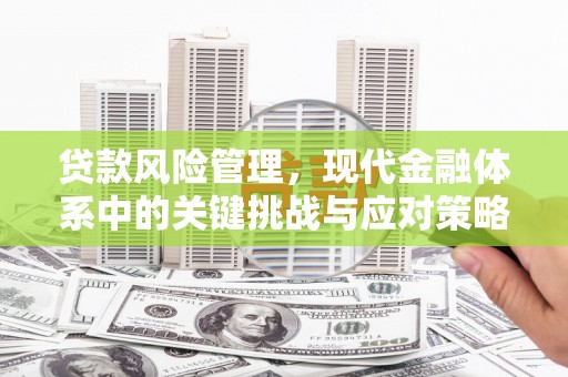 员林贷款风险管理，现代金融体系中的关键挑战与应对策略