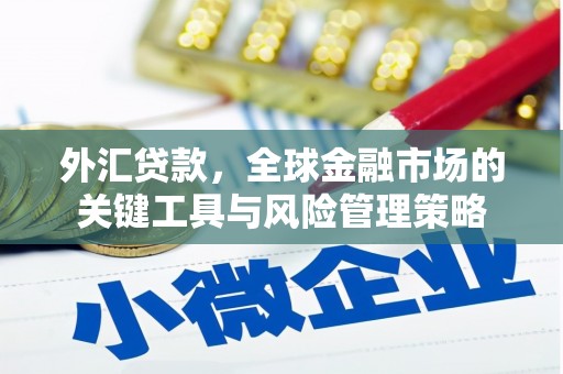 莫旗外汇贷款，全球金融市场的关键工具与风险管理策略