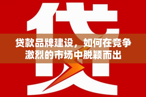 遂昌贷款品牌建设，如何在竞争激烈的市场中脱颖而出