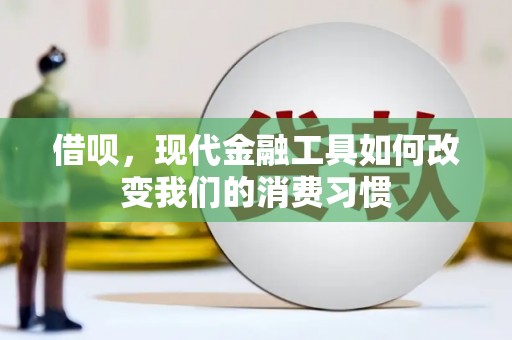 阳春借呗，现代金融工具如何改变我们的消费习惯