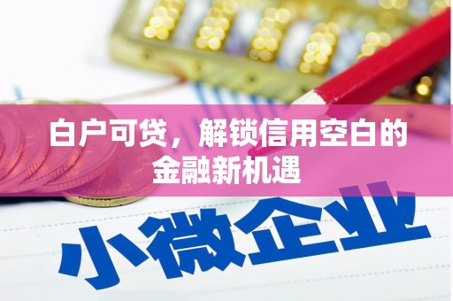 天河白户可贷，解锁信用空白的金融新机遇