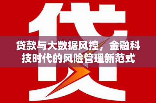 崖州贷款与大数据风控，金融科技时代的风险管理新范式