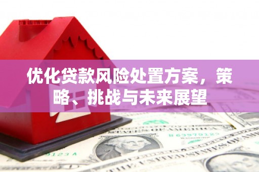 武安优化贷款风险处置方案，策略、挑战与未来展望