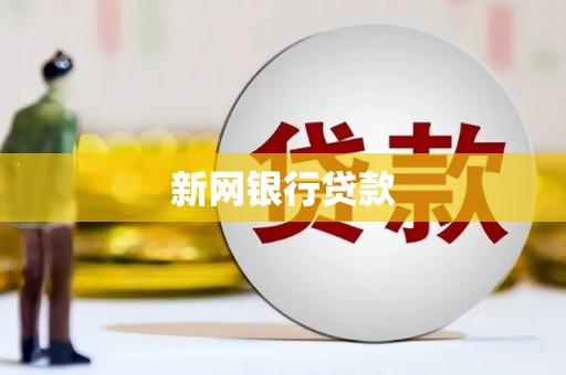 武进新网银行贷款