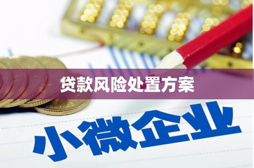 林甸贷款风险处置方案
