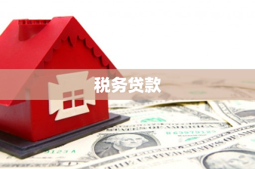 潍坊税务贷款