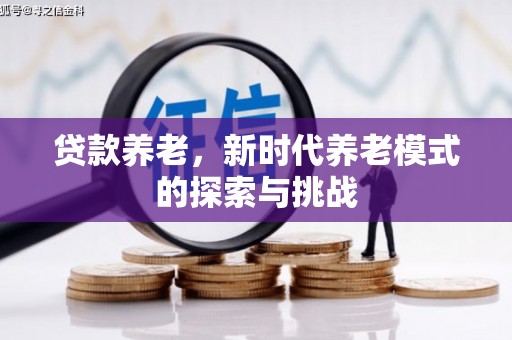 南召贷款养老，新时代养老模式的探索与挑战