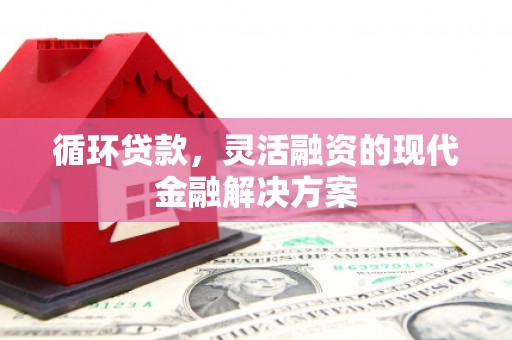 观音循环贷款，灵活融资的现代金融解决方案